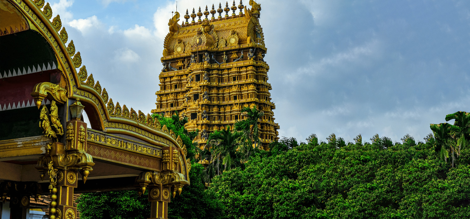 10Notti / 11Giorni Sri Lanka Authentic Tour - HB 